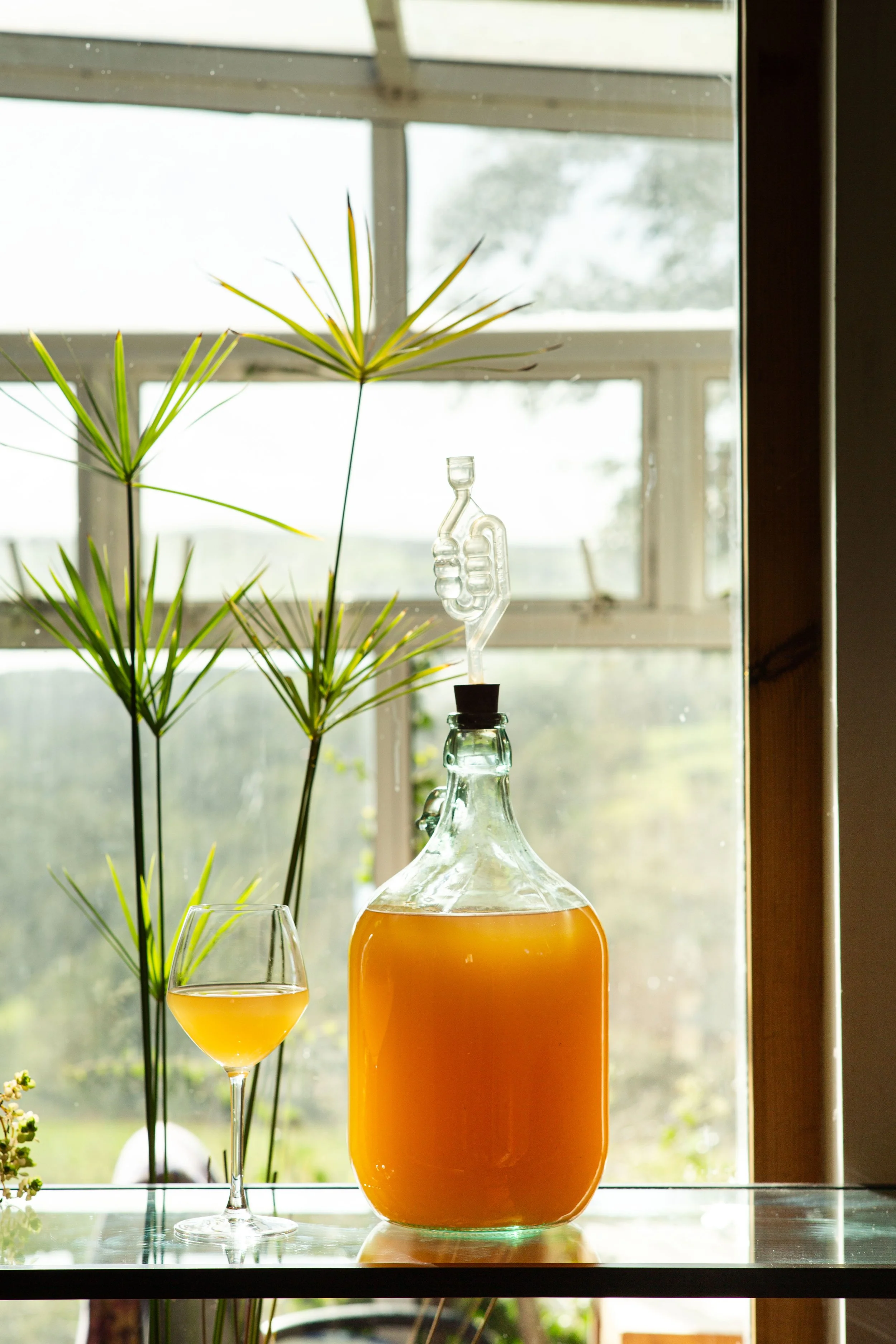 Small-batch Ginger Wine production
