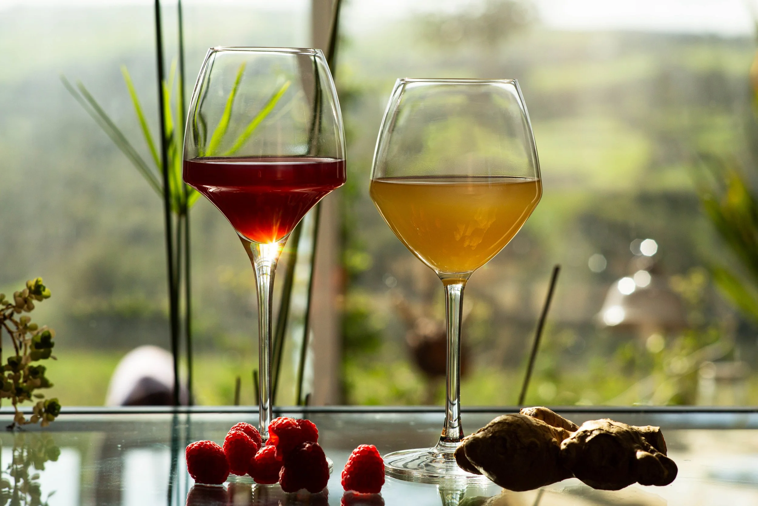 A glass of raspberry wine sits next to a glass of ginger wine