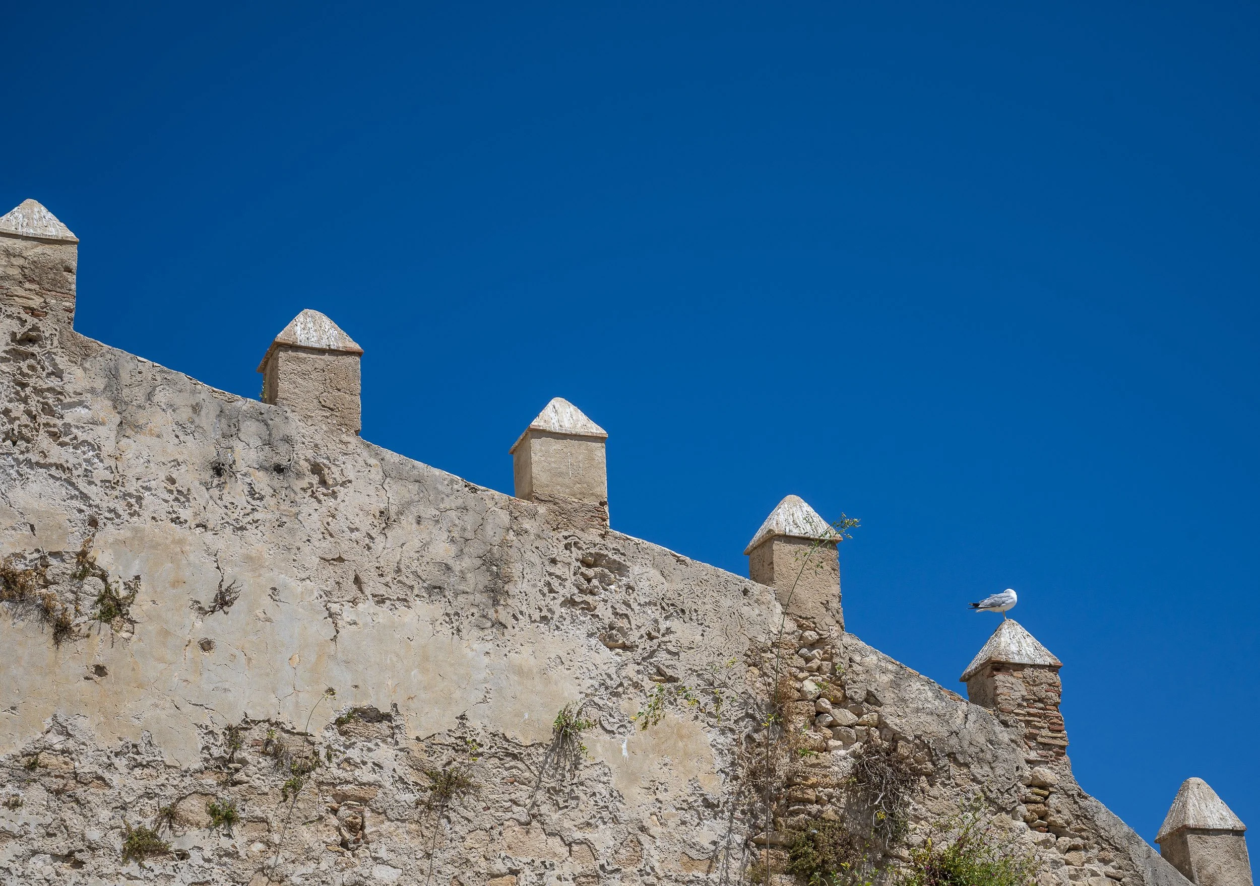 En el castillo de Denia