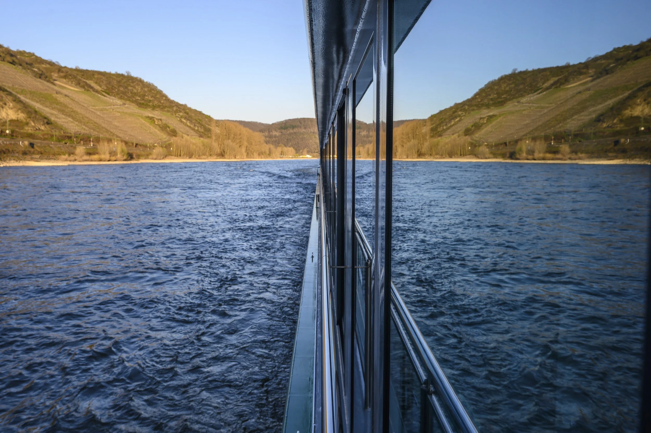 Viñedos y reflejos en el Rin, Alemania