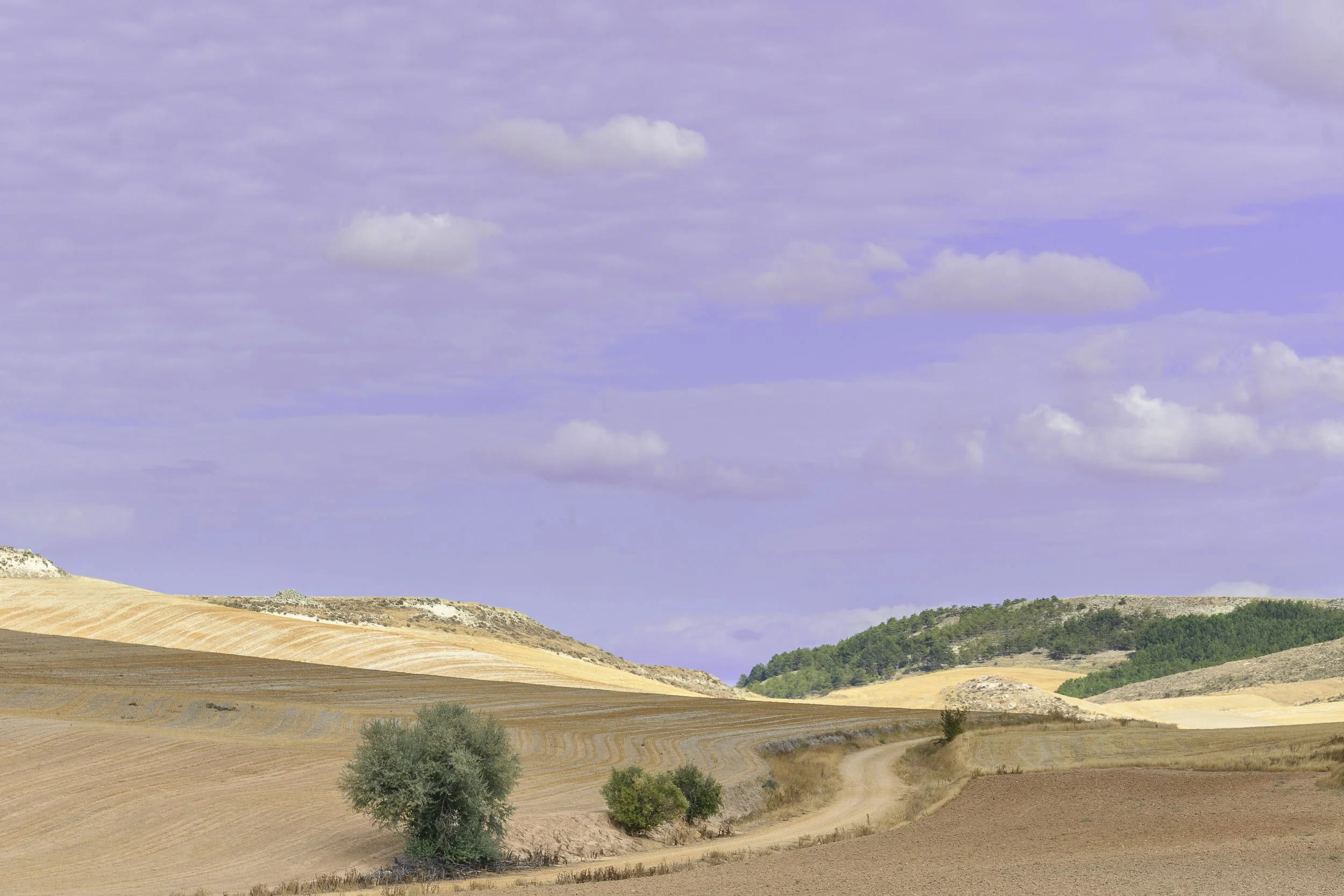 Colinas en la Ribera del Duero.