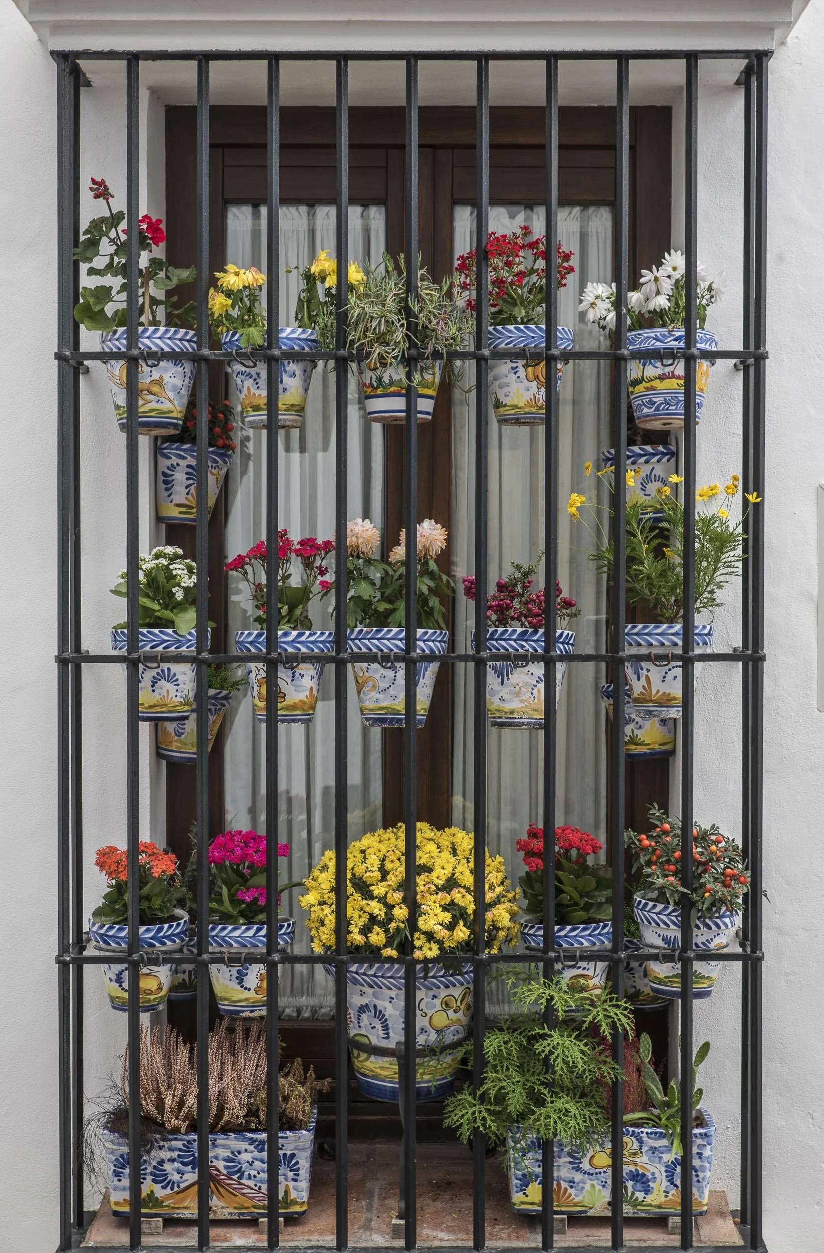 Rejas y flores en Grazalema