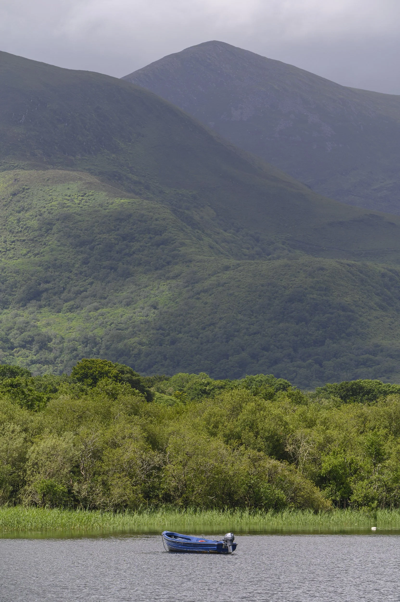 Paisaje en Killarney