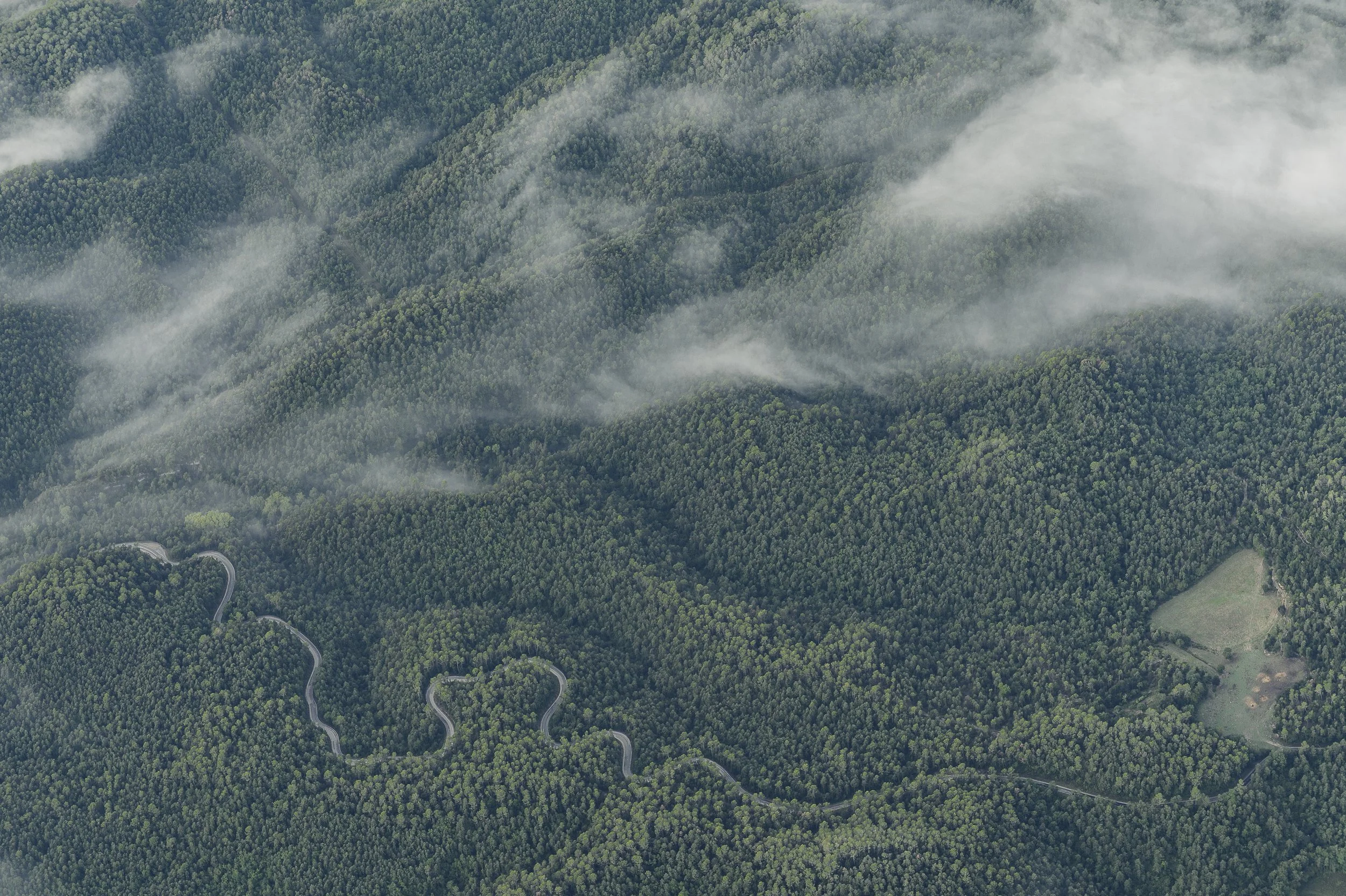 Bosques desde el aire, La Garrocha, Gerona