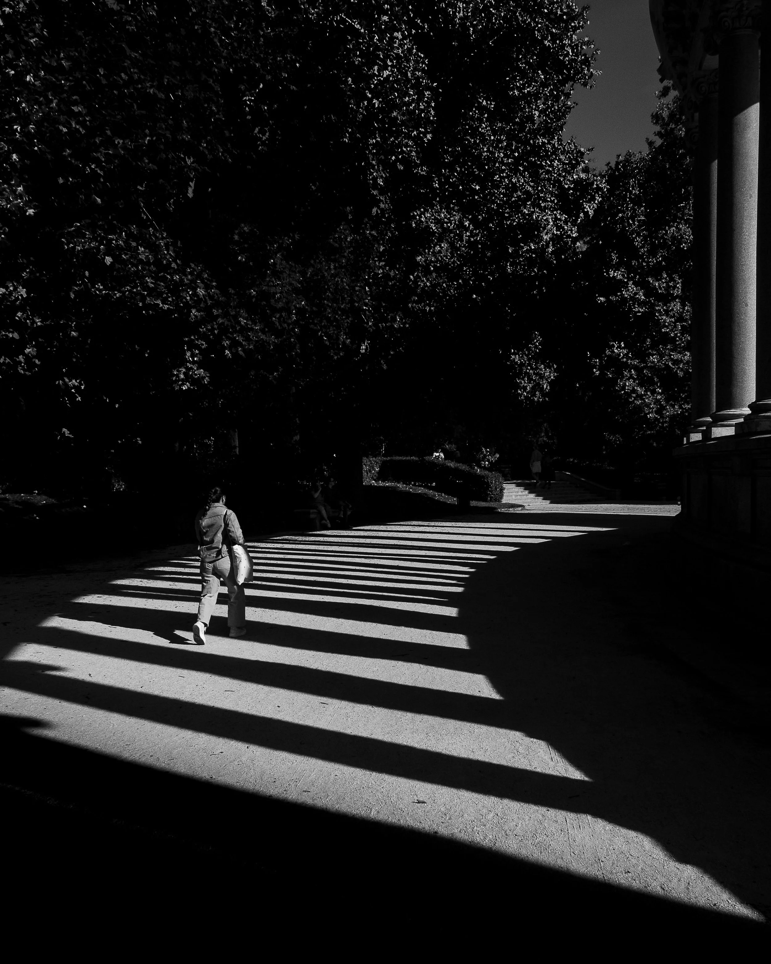 Teclado de luz y sombra en el Retiro