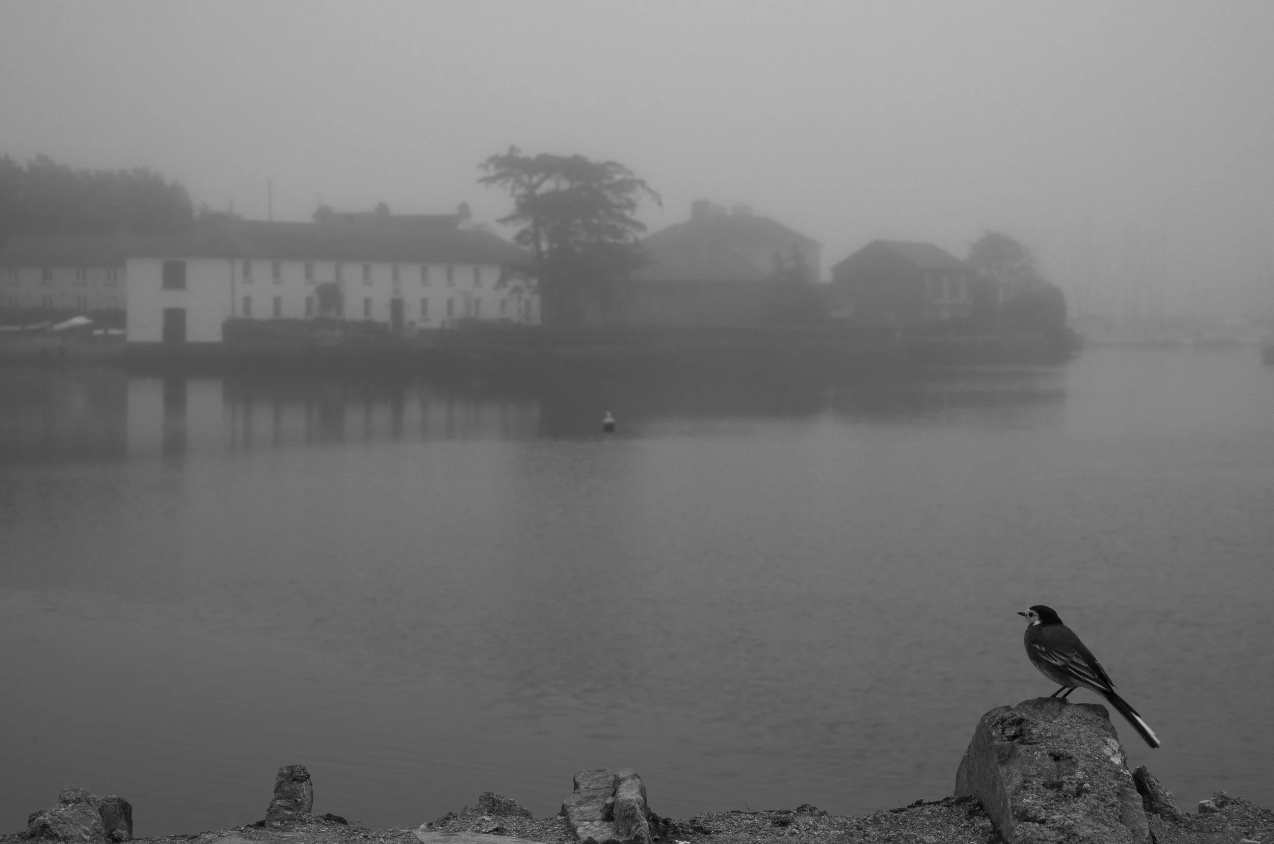 Kinsale bajo la niebla.