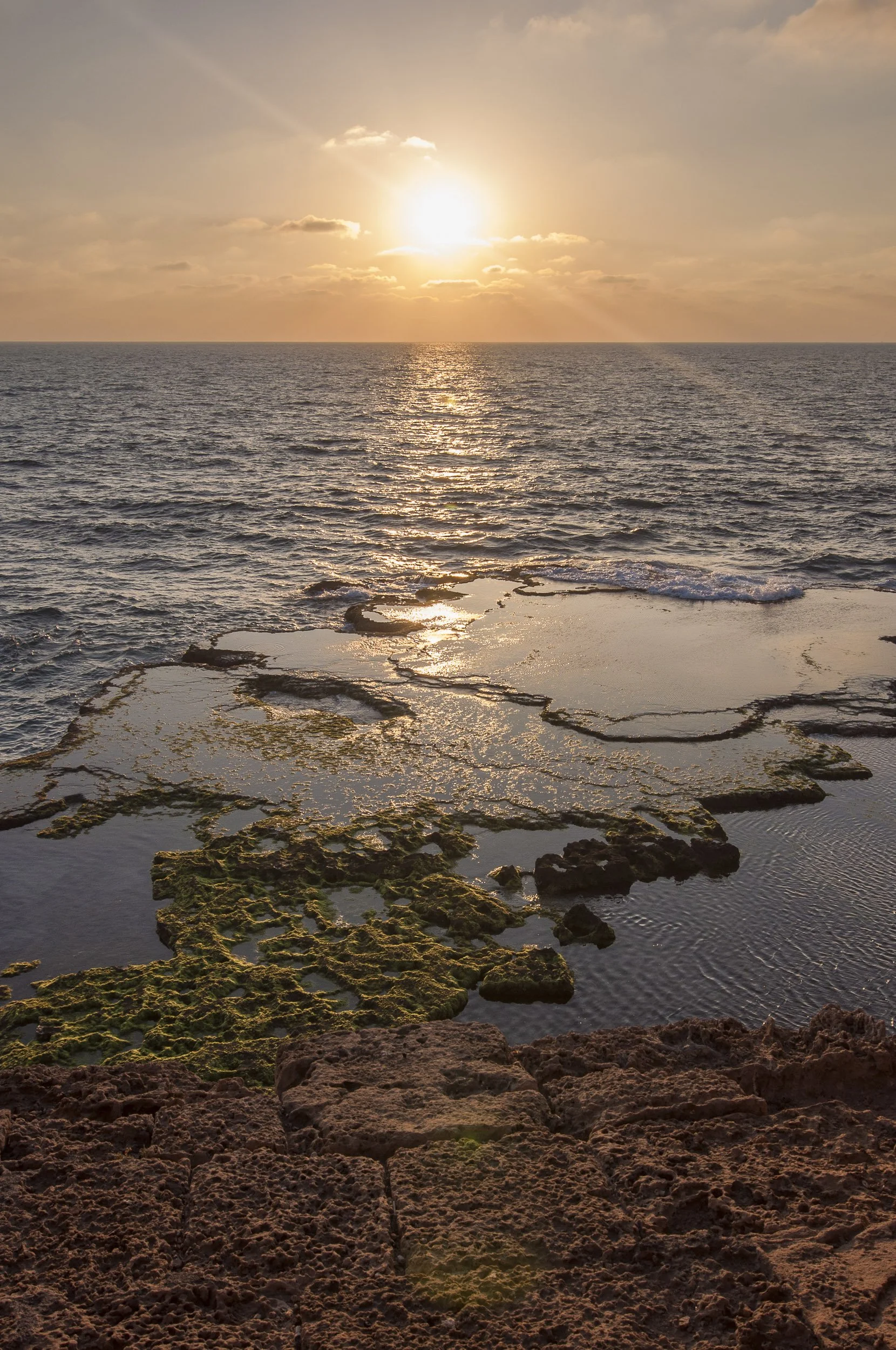 Atardecer desde las murallas de San Juan de Acre, con el sol en el horizonte, mar calmo y rocas cubiertas de algas en primer plano.