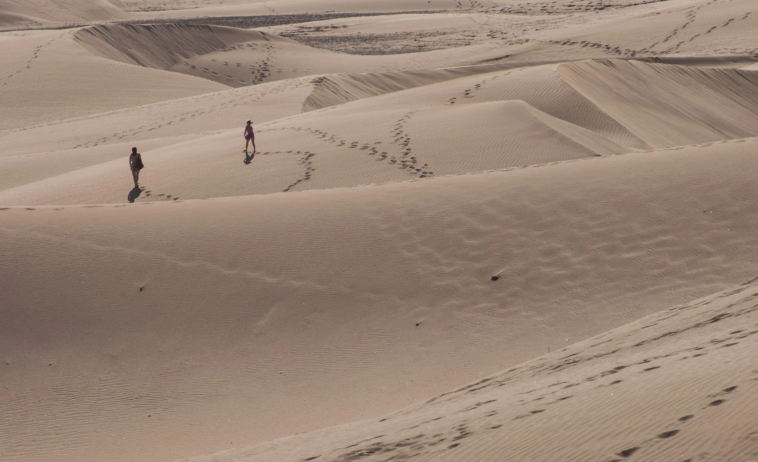 Dunas de Maspalomas, Gran Canaria