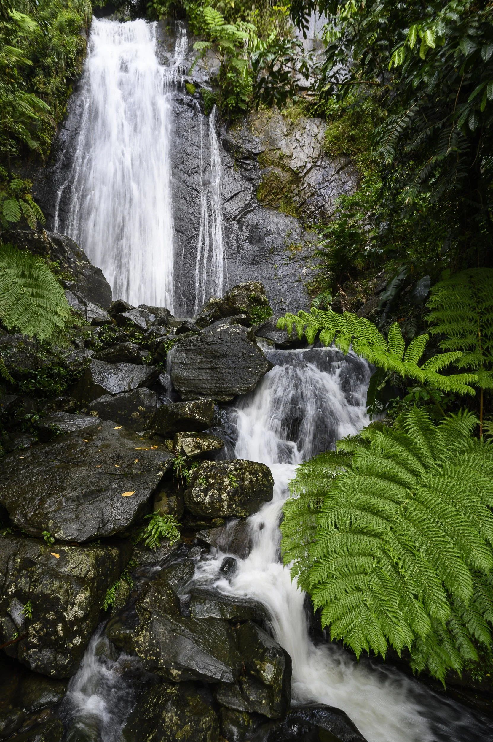 Catarata en El Yunque, Puerto Rico