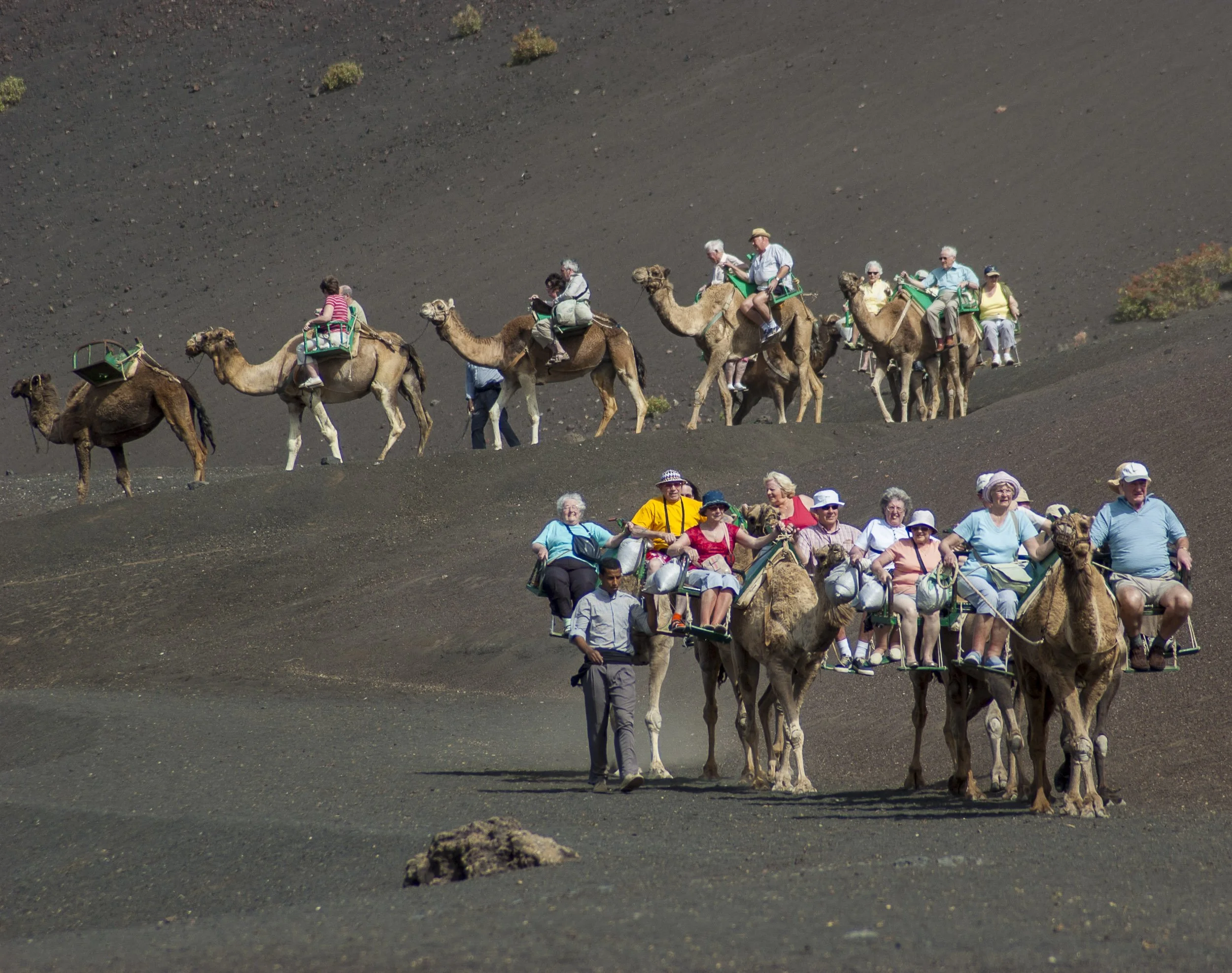 Ruta en dromedario por Timanfaya, Lanzarote