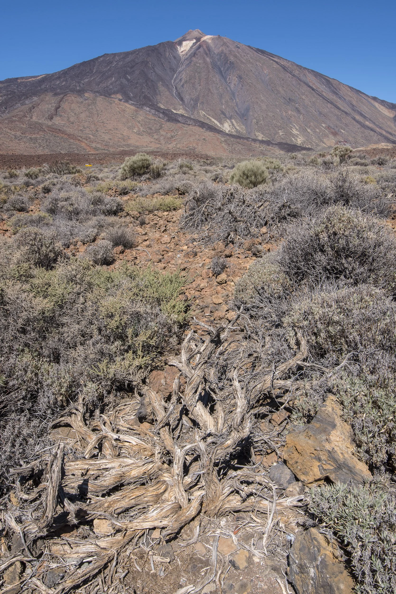 El Teide y el malpaís, Tenerife