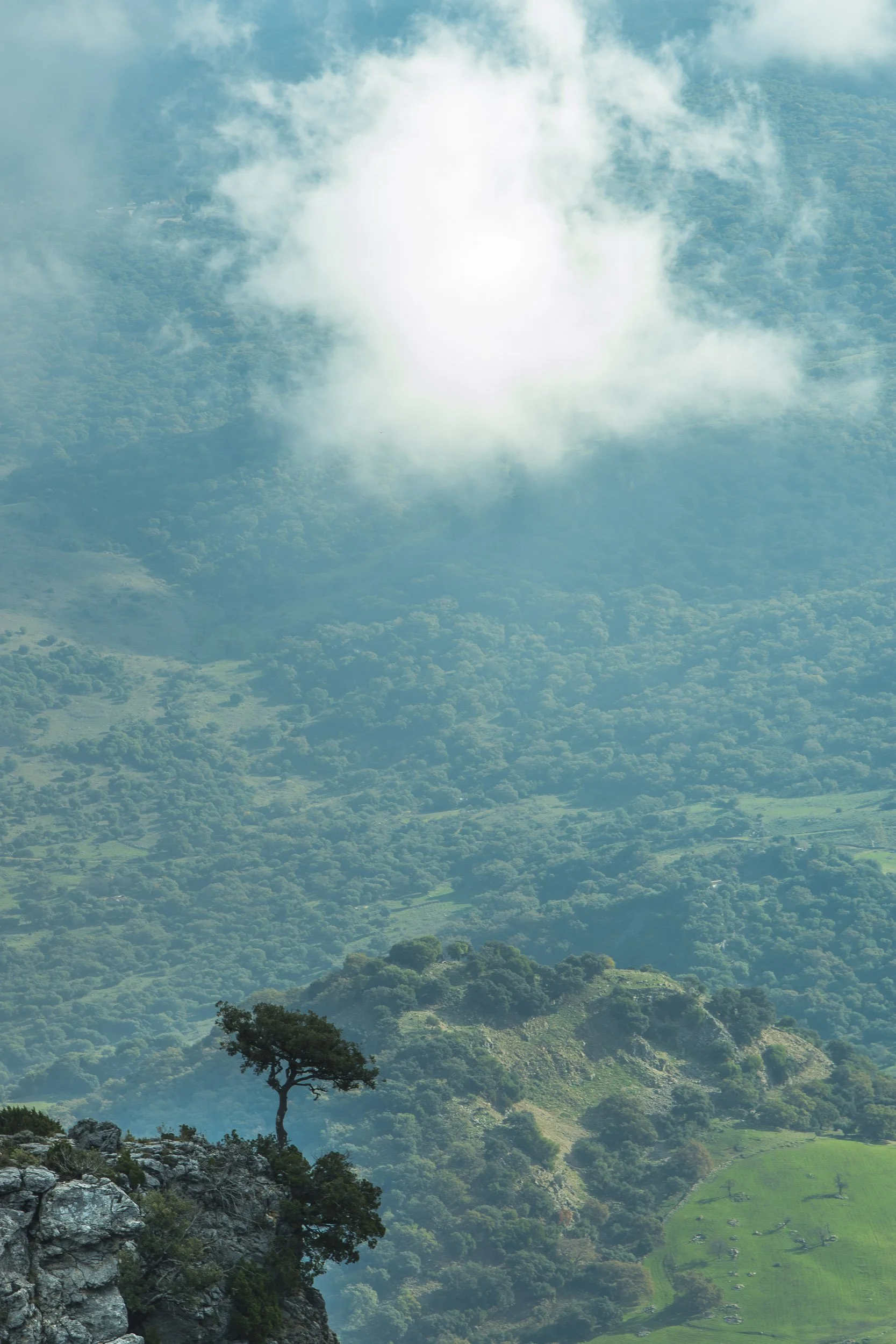 Puerto de las Palomas, Cádiz