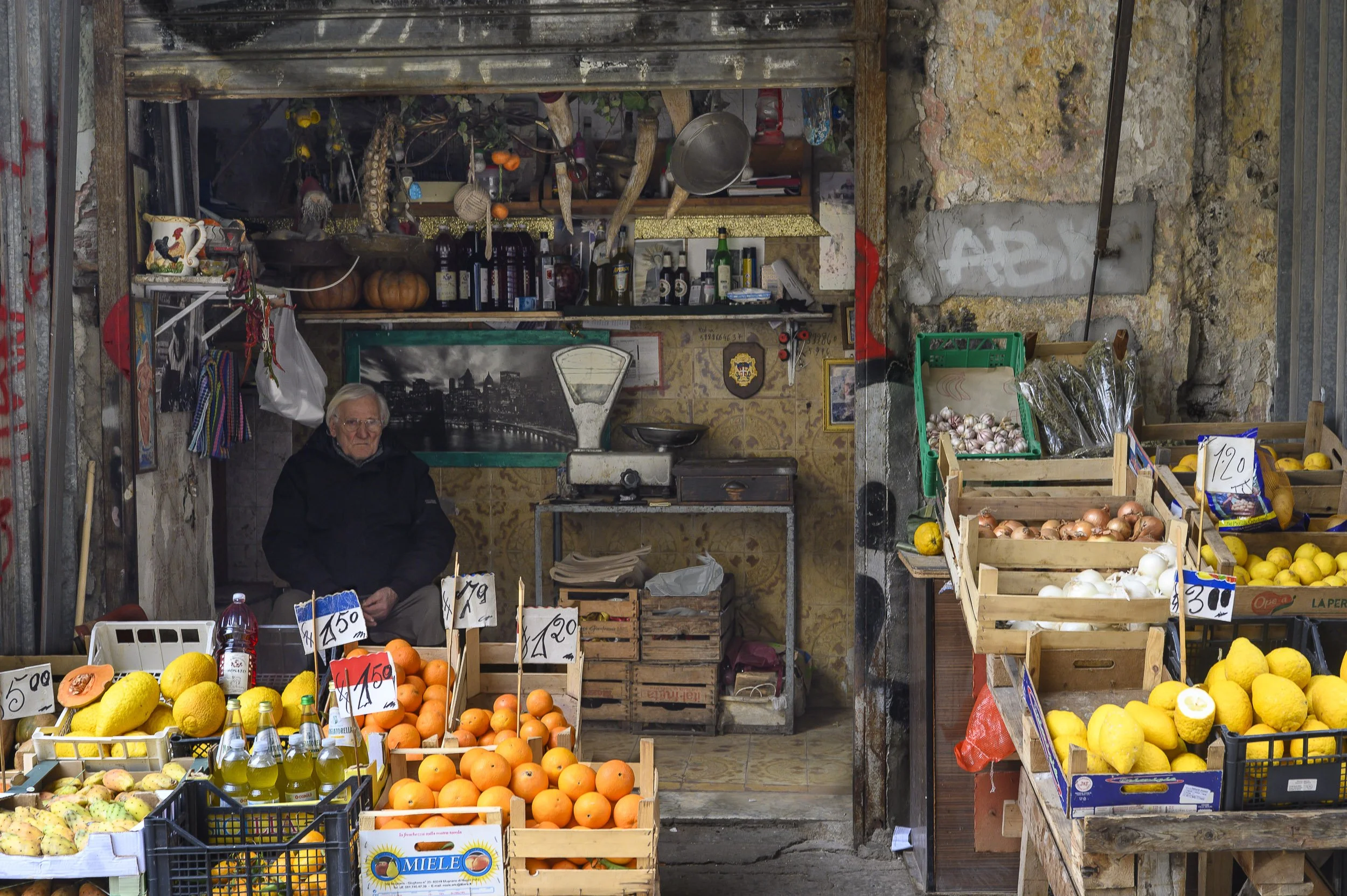 palermo-web09.jpg