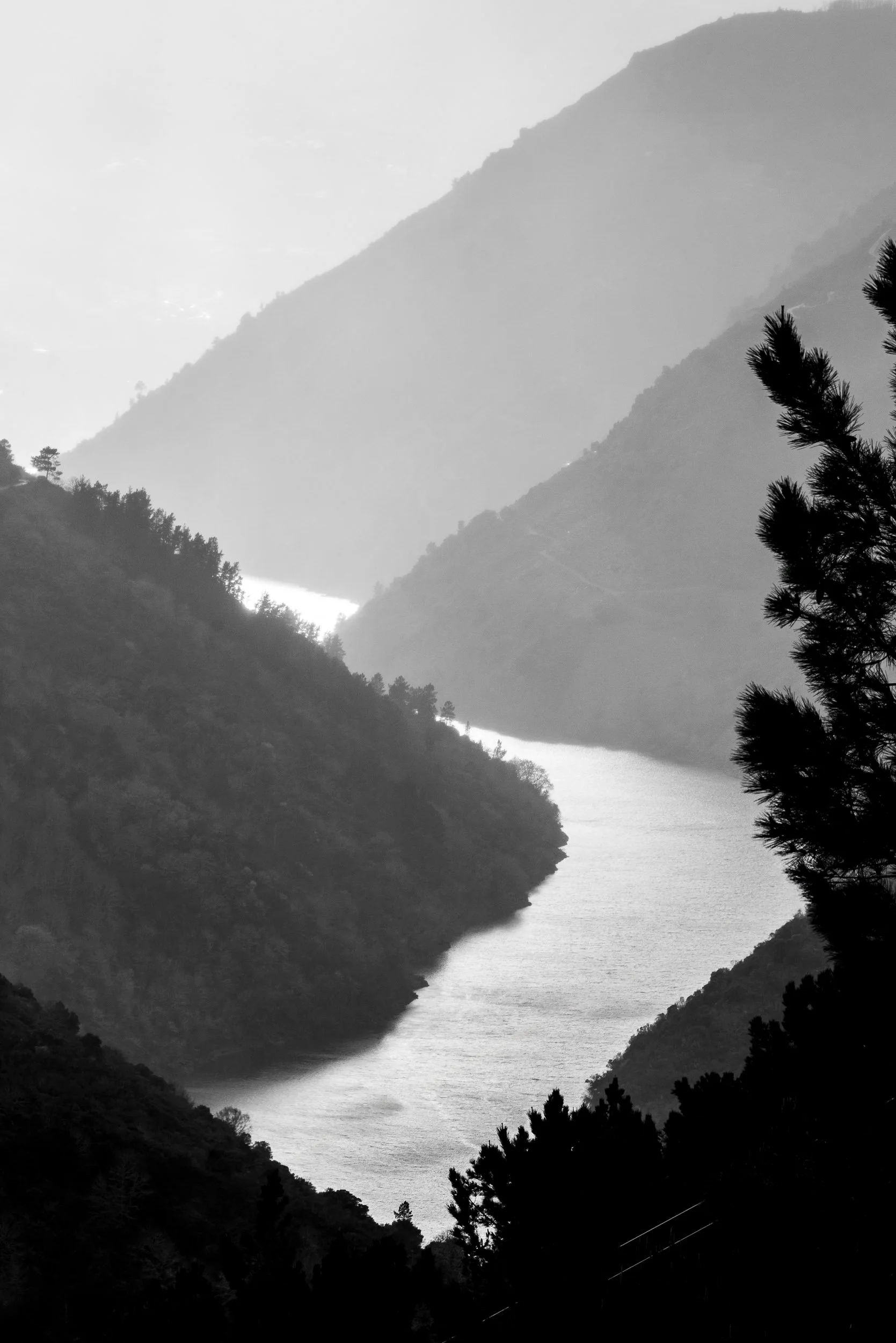 Cañón del Miño, Ribeira Sacra, Galicia