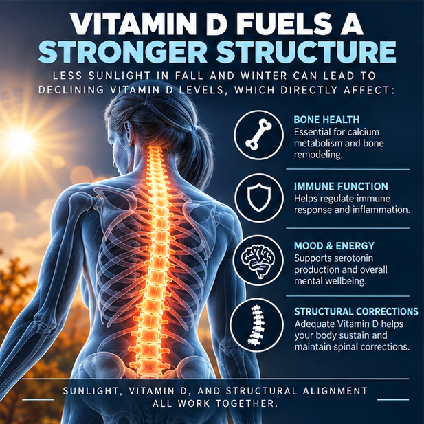 Woman’s back with a highlighted spine showing how Vitamin D supports bone health, immune function, mood, and structural corrections