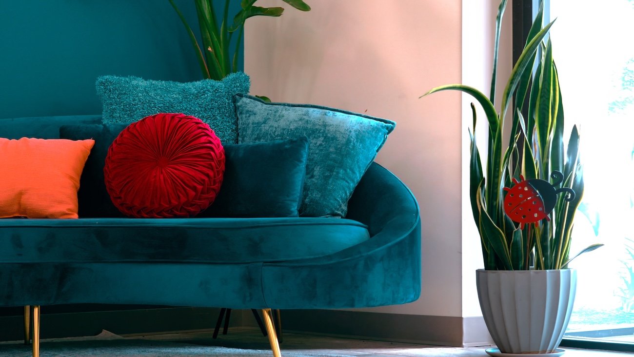 Living room with a teal velvet couch decorated with colorful pillows, a large potted indoor plant with a ladybug decoration, and a window with natural light.