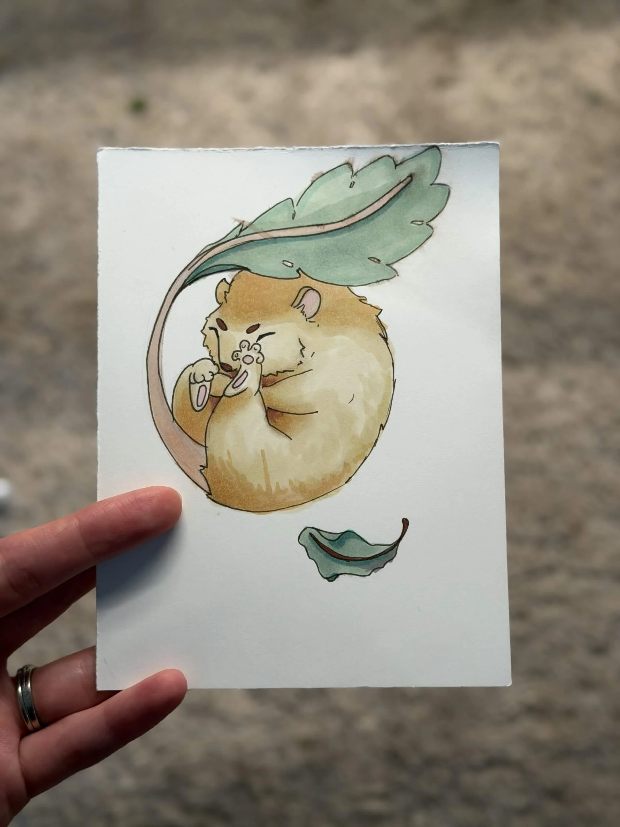 lil guy.jpg