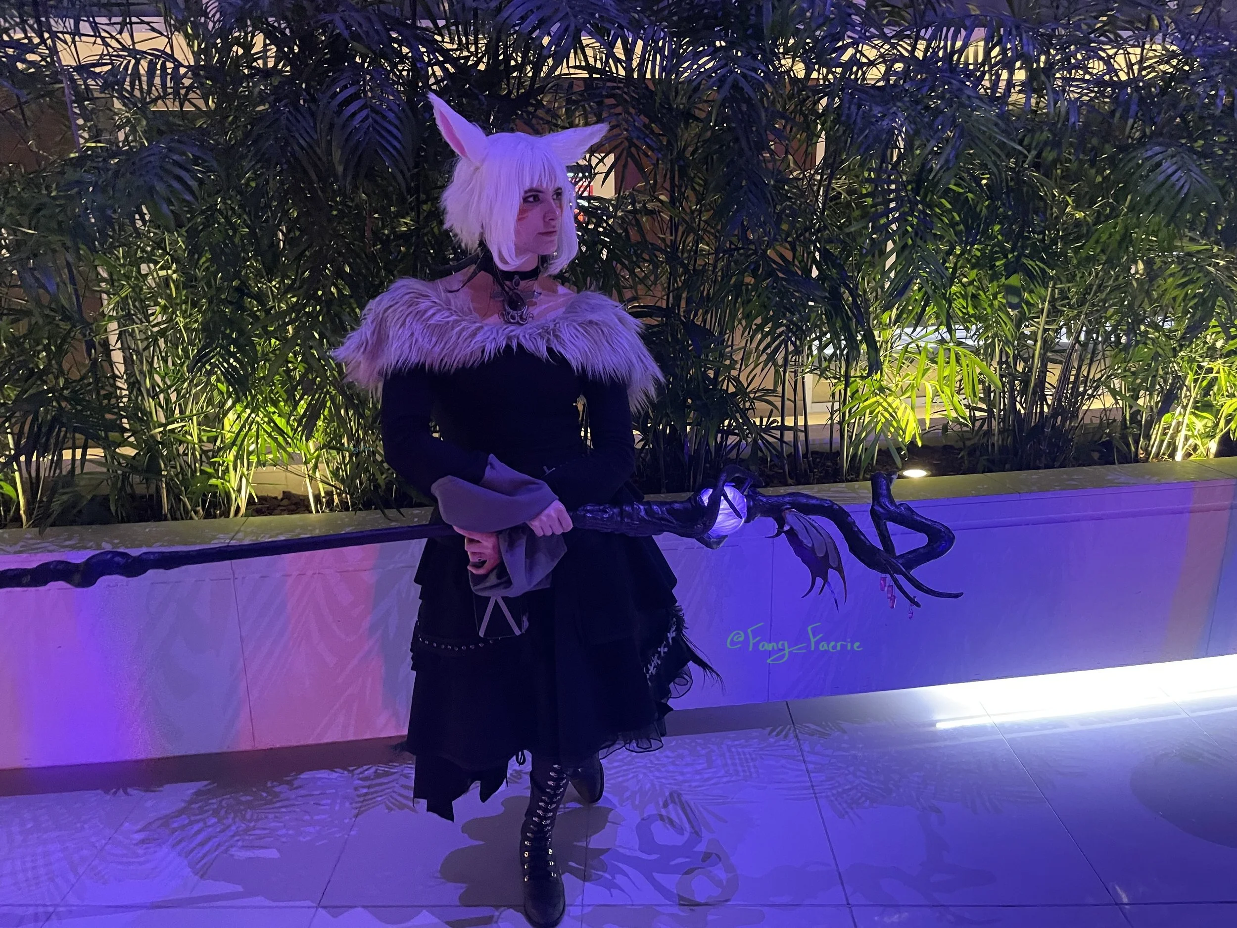 IMG_8743_W.jpeg