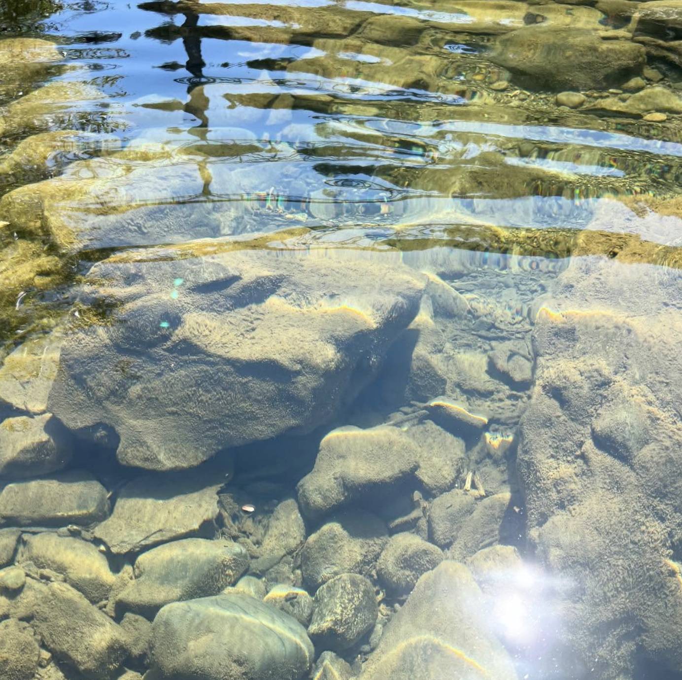 Screenshot 2025-11-21 at 10.19.14 AM.png