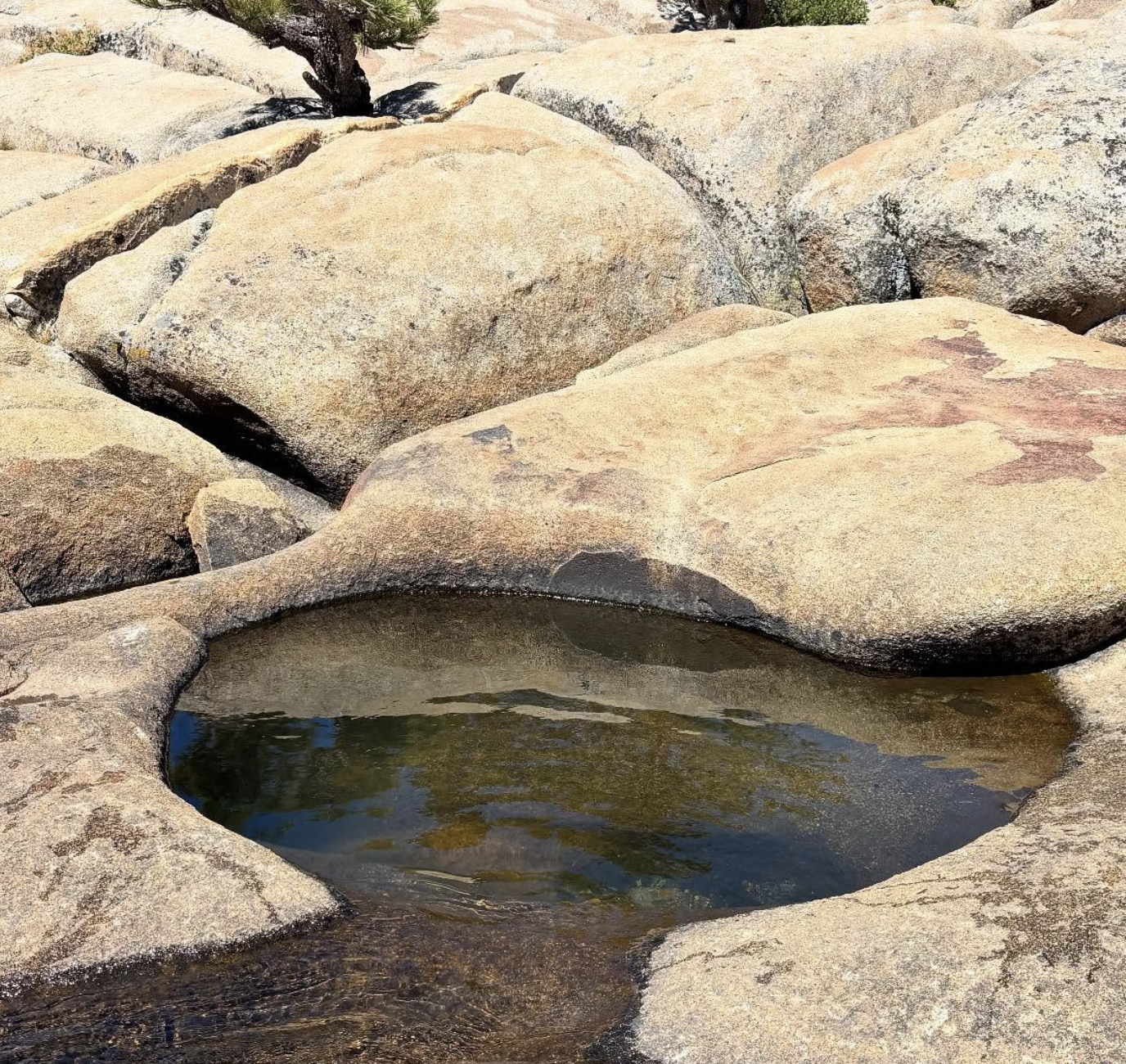 Screenshot 2025-11-21 at 10.21.04 AM.png