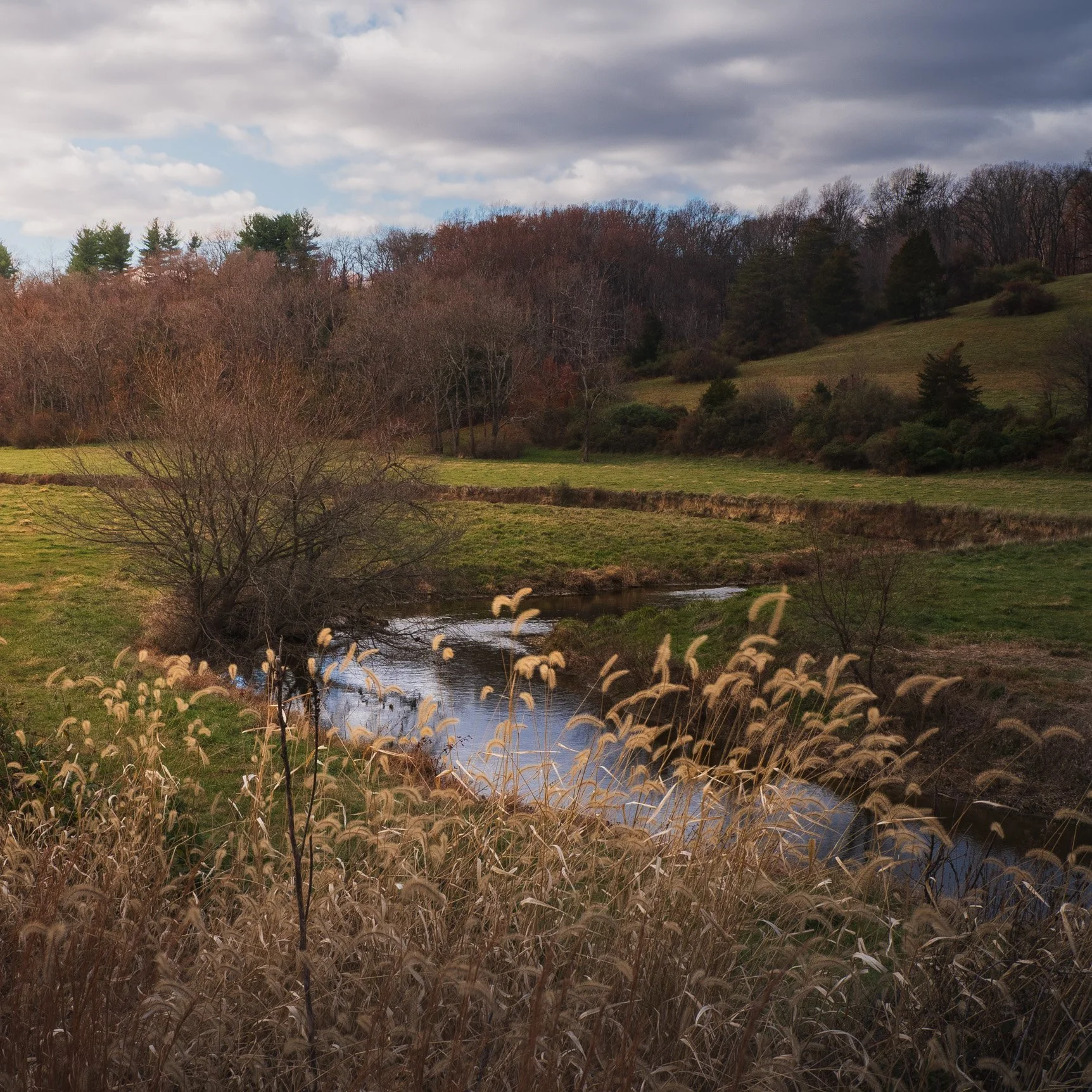 Scenic landscape of a river flowing through grassy fields with leafless trees and rolling hills under a cloudy sky.
