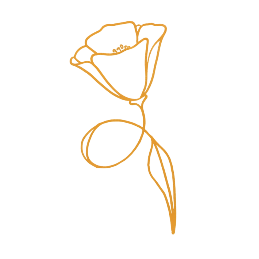 Diagram of a flower showing parts such as petals, pistil, ovary, and stem, with color-coded labels.
