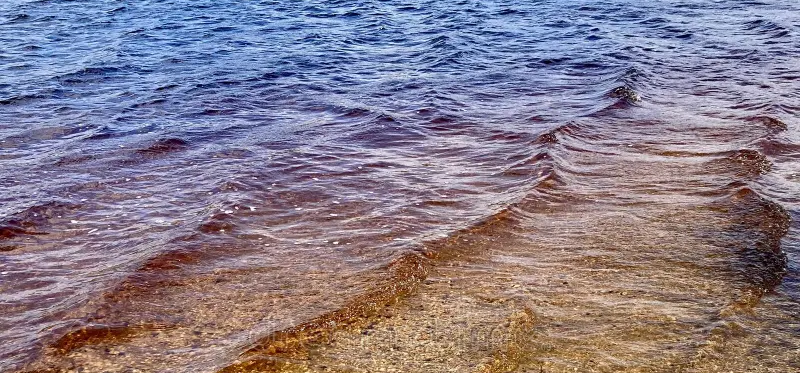 Close-up of gentle waves on a sandy beach with tea colored cedar water.