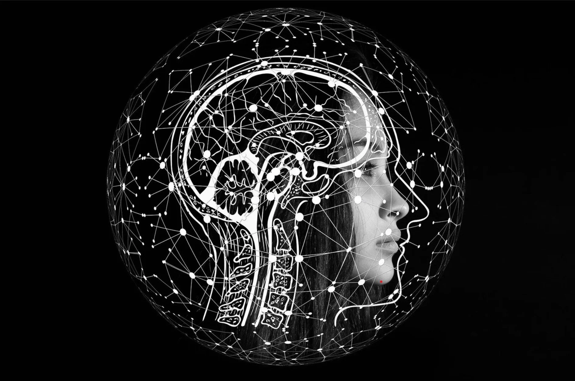 Making the Brain Gut Connection