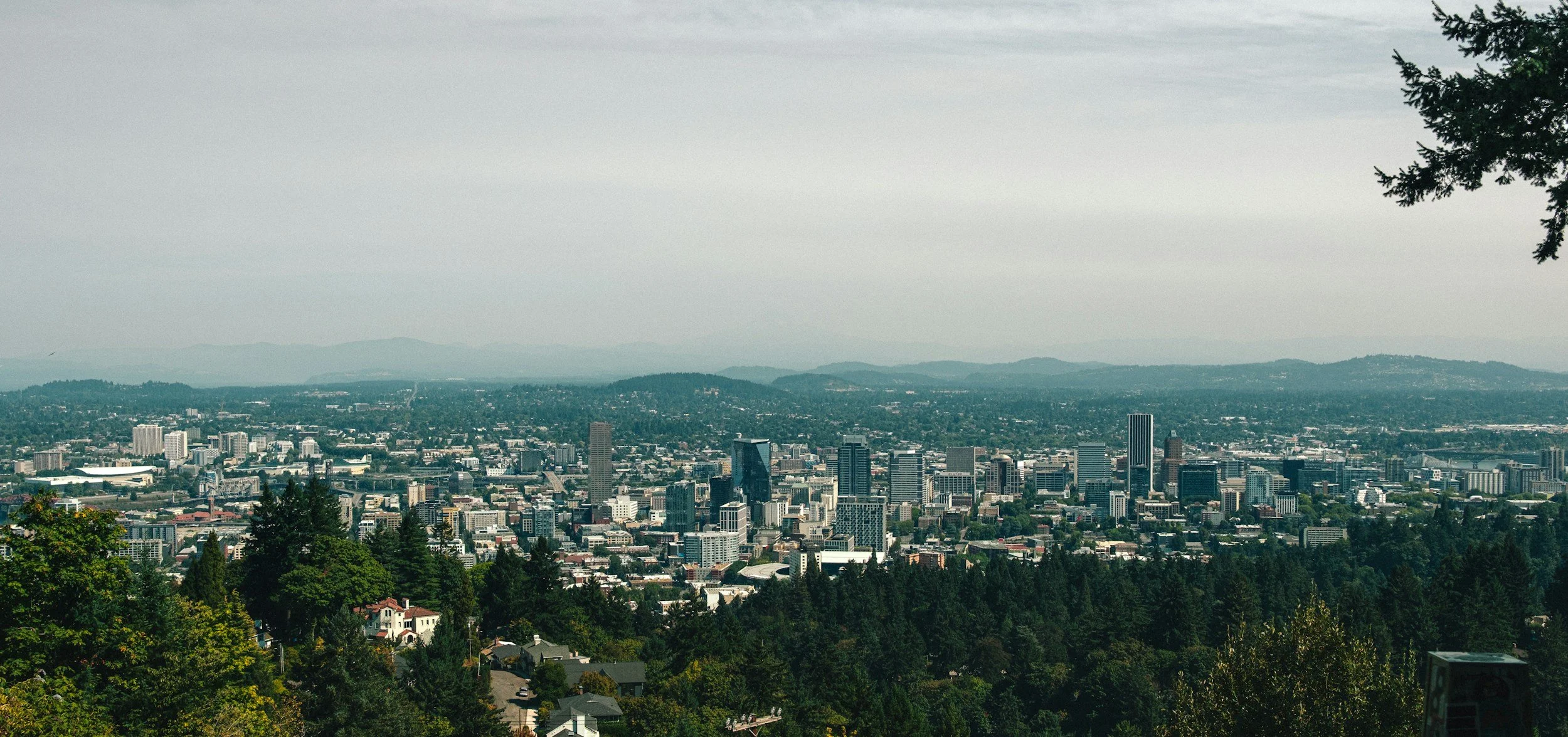 A cityscape viewed from a high vantage point with numerous tall buildings and skyscrapers, surrounded by a forest of green trees in the foreground, and mountains in the distance under a cloudy sky.