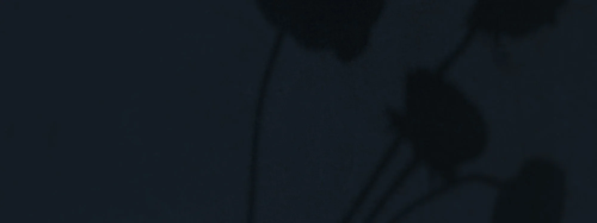 Dark, blurry image of a plant or branch with no clear details.