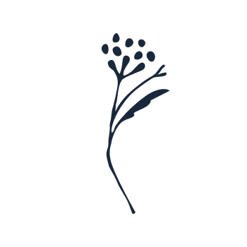 A simple, stylized illustration of a flower bud with small circular seeds.