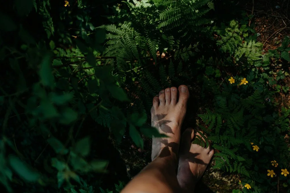 A person's bare foot stepping on lush green fern leaves and small yellow flowers in a forest or garden.