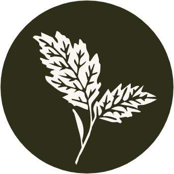 A white illustration of a leaf with three leaflets on an olive green circular background.
