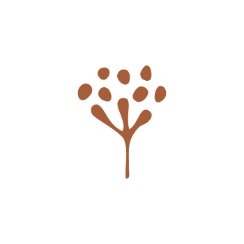 A simple illustration of a flower seed pod and rounded foliage.