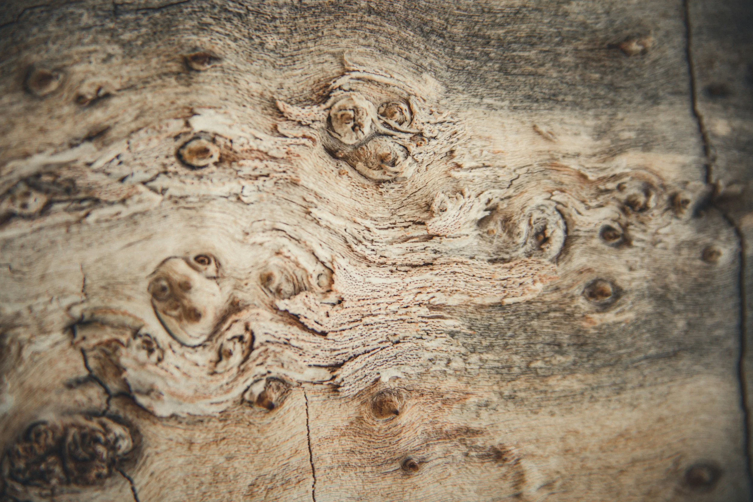 Close-up of weathered wood surface showing knots and grain patterns