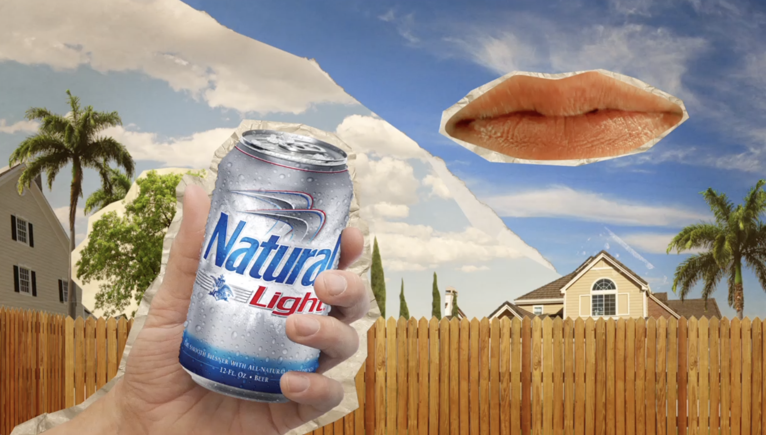 Natty Light