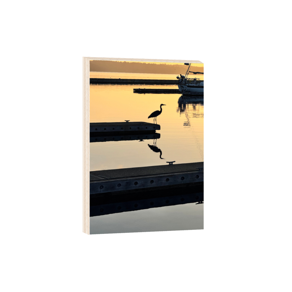 1-Great Blue Heron Silhouette