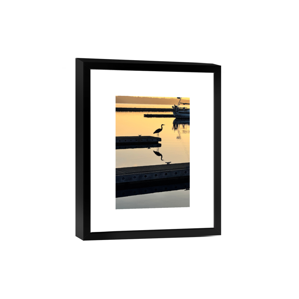 1-Great Blue Heron Silhouette