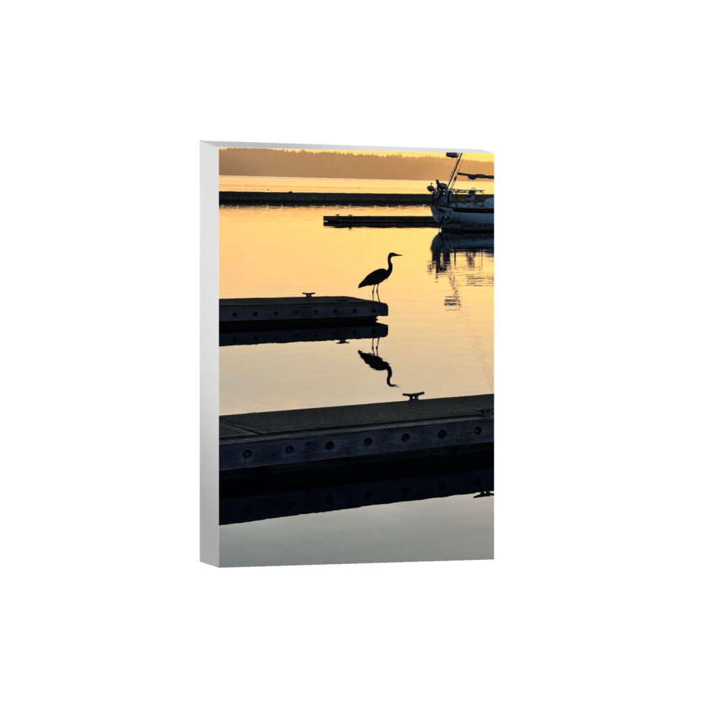 1-Great Blue Heron Silhouette