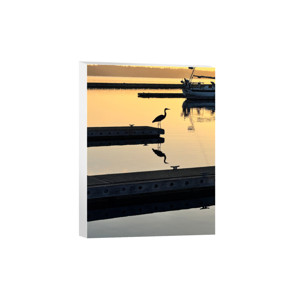 1-Great Blue Heron Silhouette