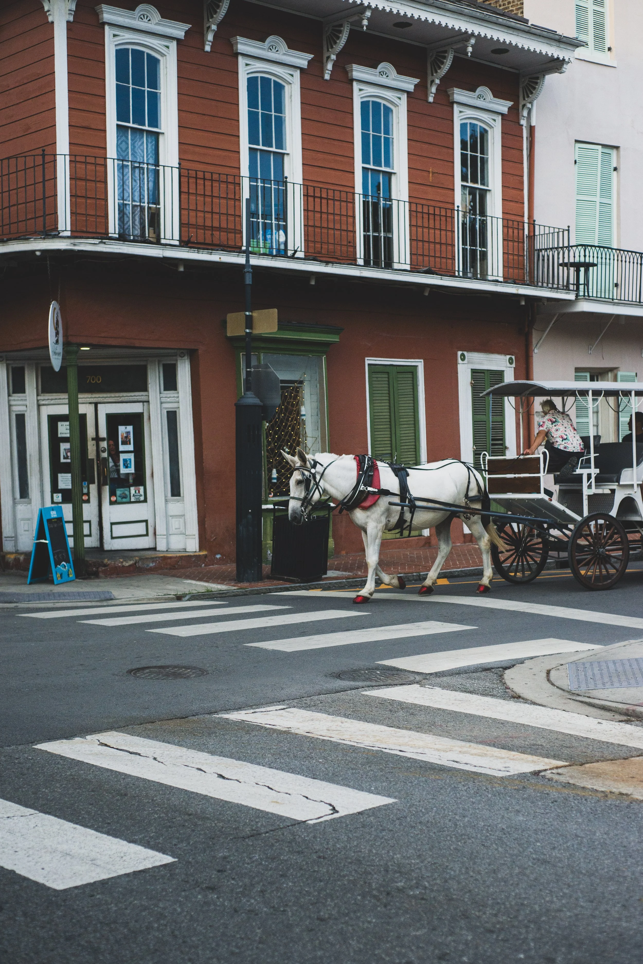 Carriage In The French Quarter