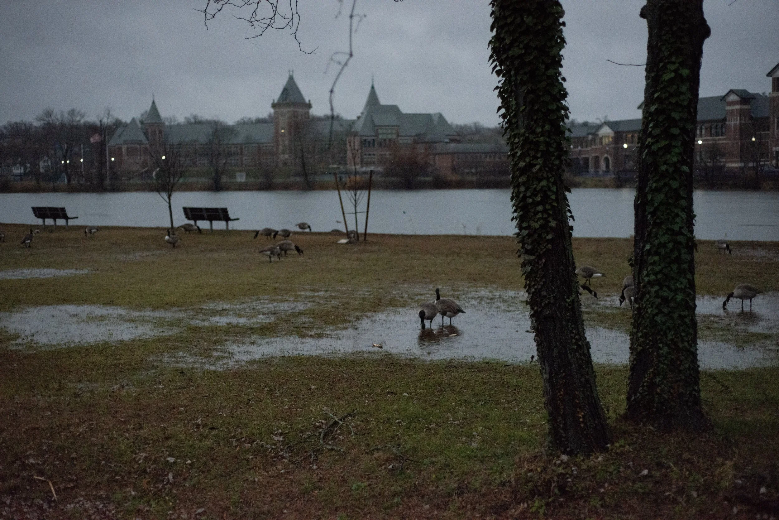 Thoughts Of The Future