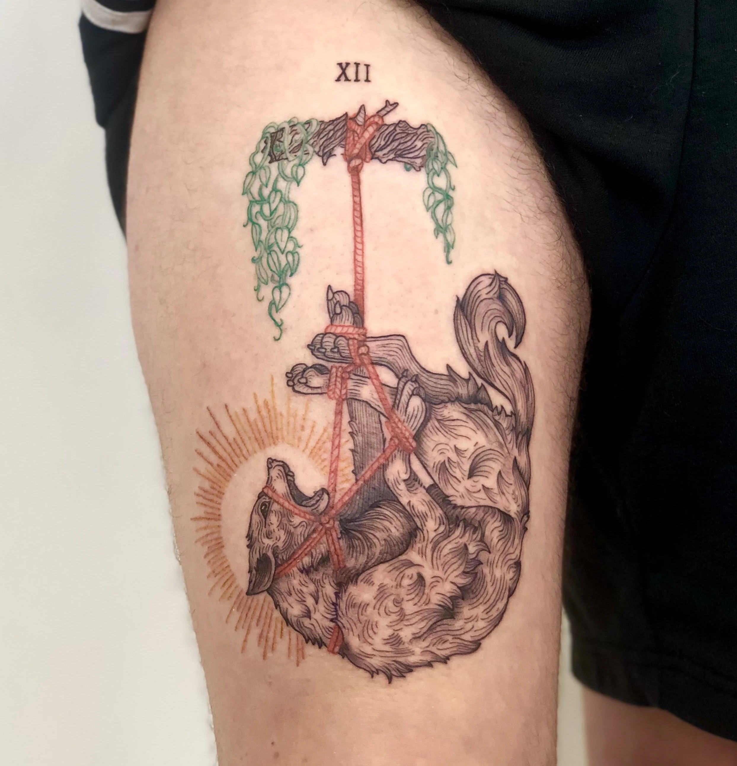 Tattoo of a bound wolf surrounded by a sun with rays and rope and tree elements, and Roman numeral XII at the top.