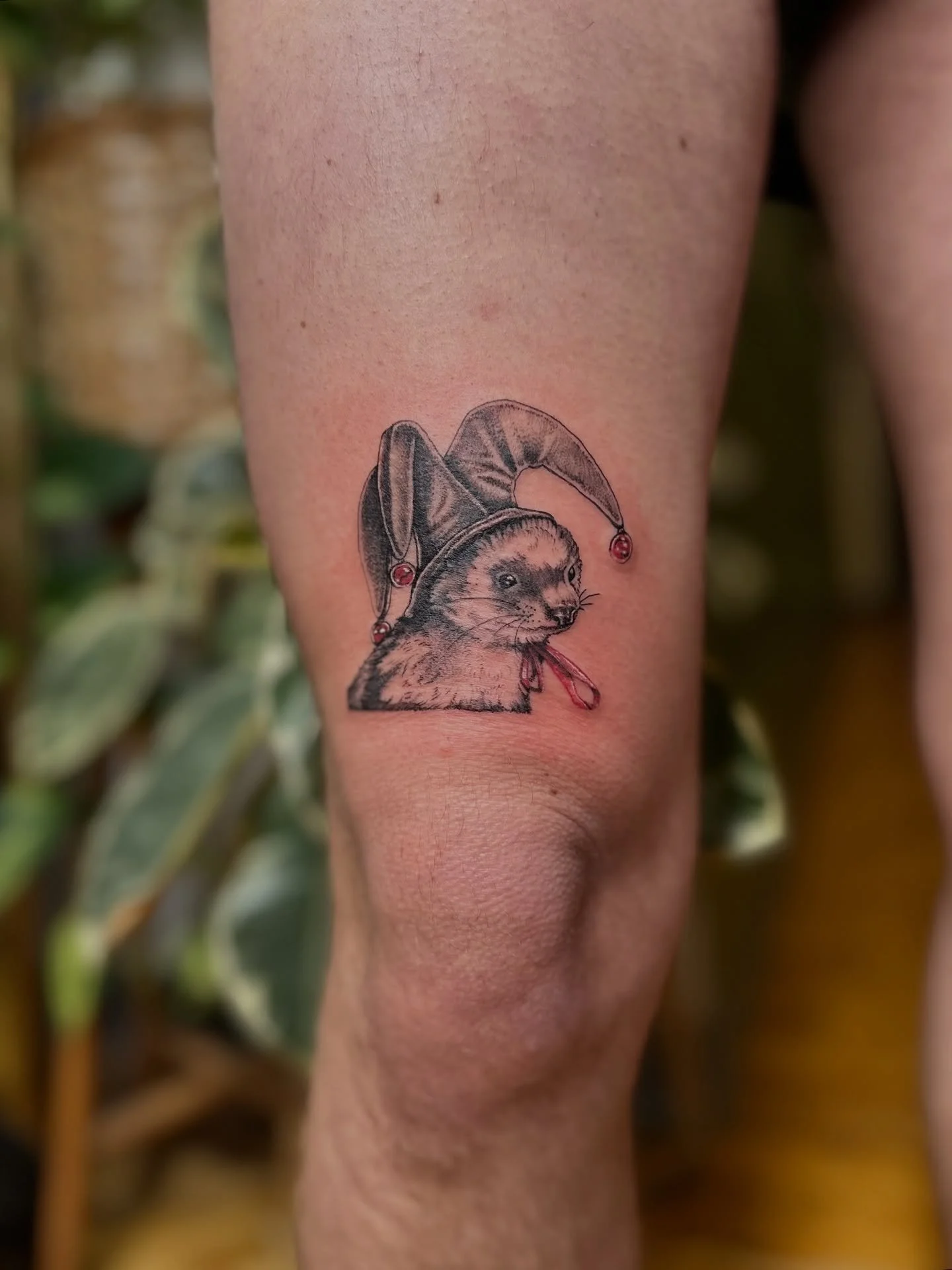 A sweet little ferret jester for Liv !! Thank you so much bb this was so much fun