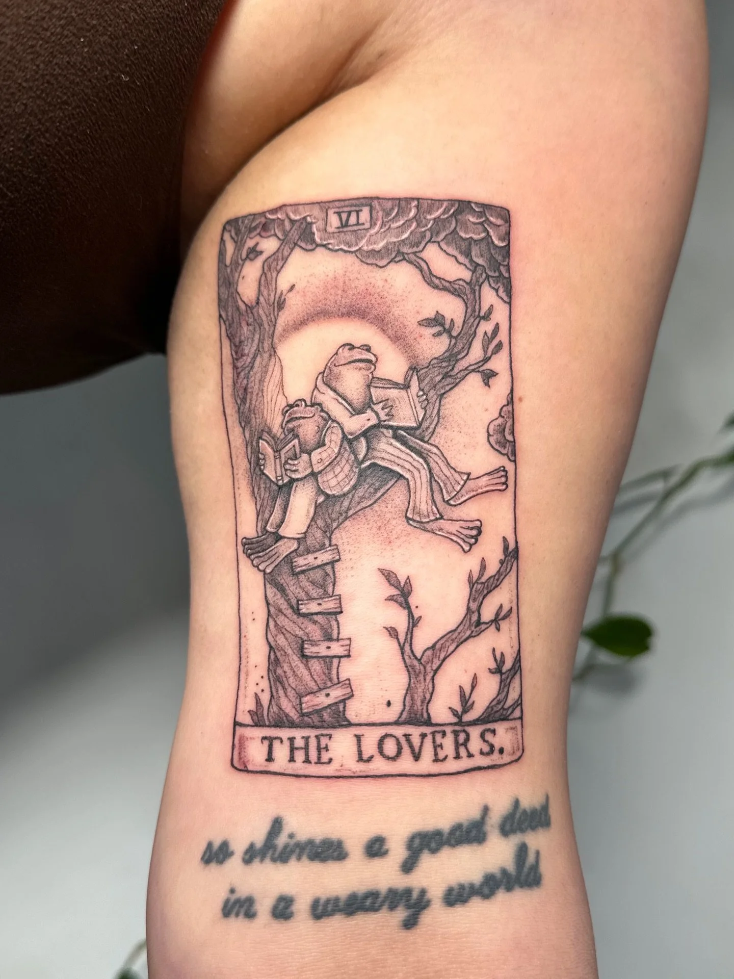 Fresh vs a month and a half healed Frog and Toad Lovers Tarot Card for Vanessa. Thank you so much for coming to me with truly the sweetest idea and for sitting so well. 🐸🫶🐸
.
#tattoo #tattooartist #illustrativetattoos #frogandtoad #cutetattoo