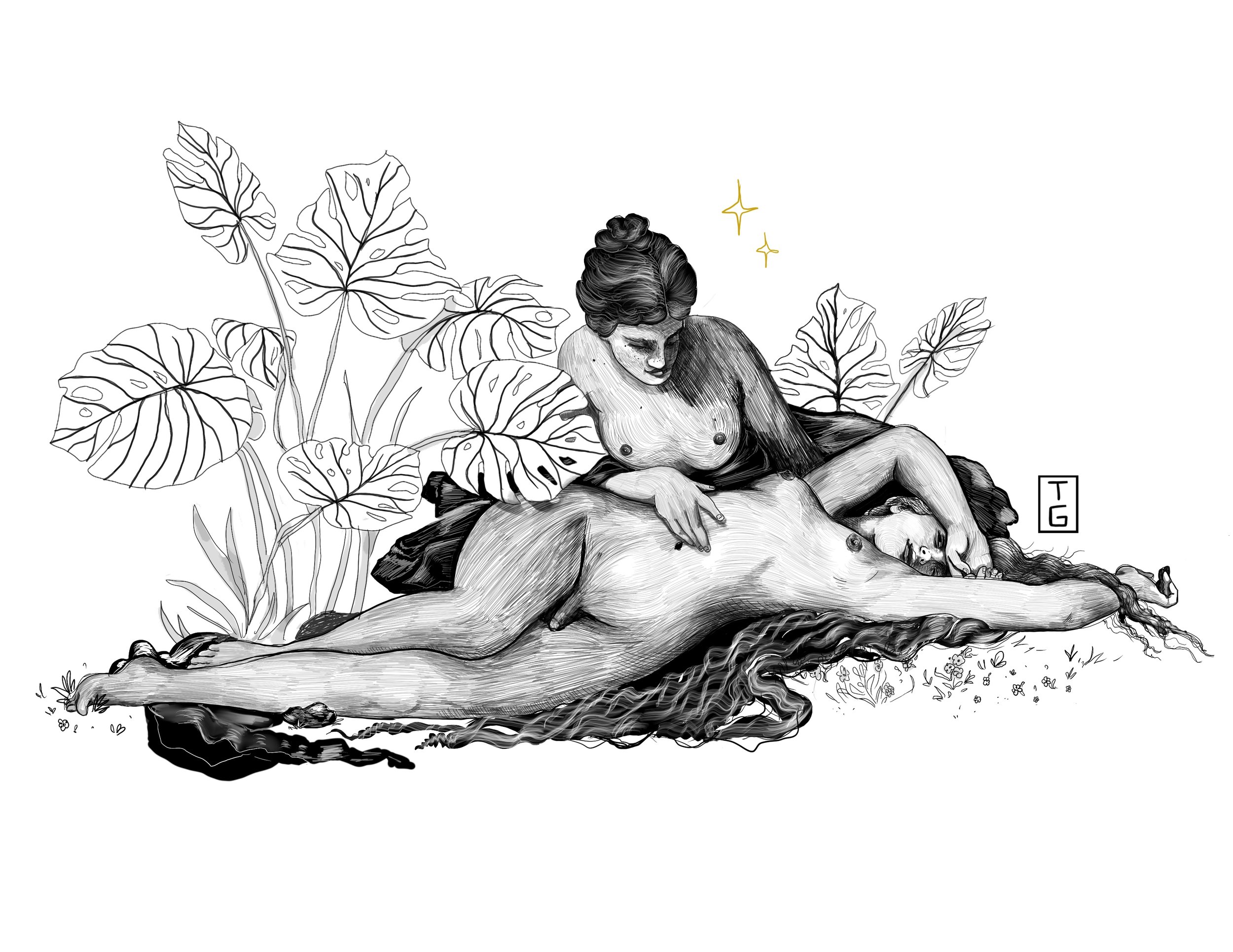 Warm Meadows, Soft Touch.jpeg