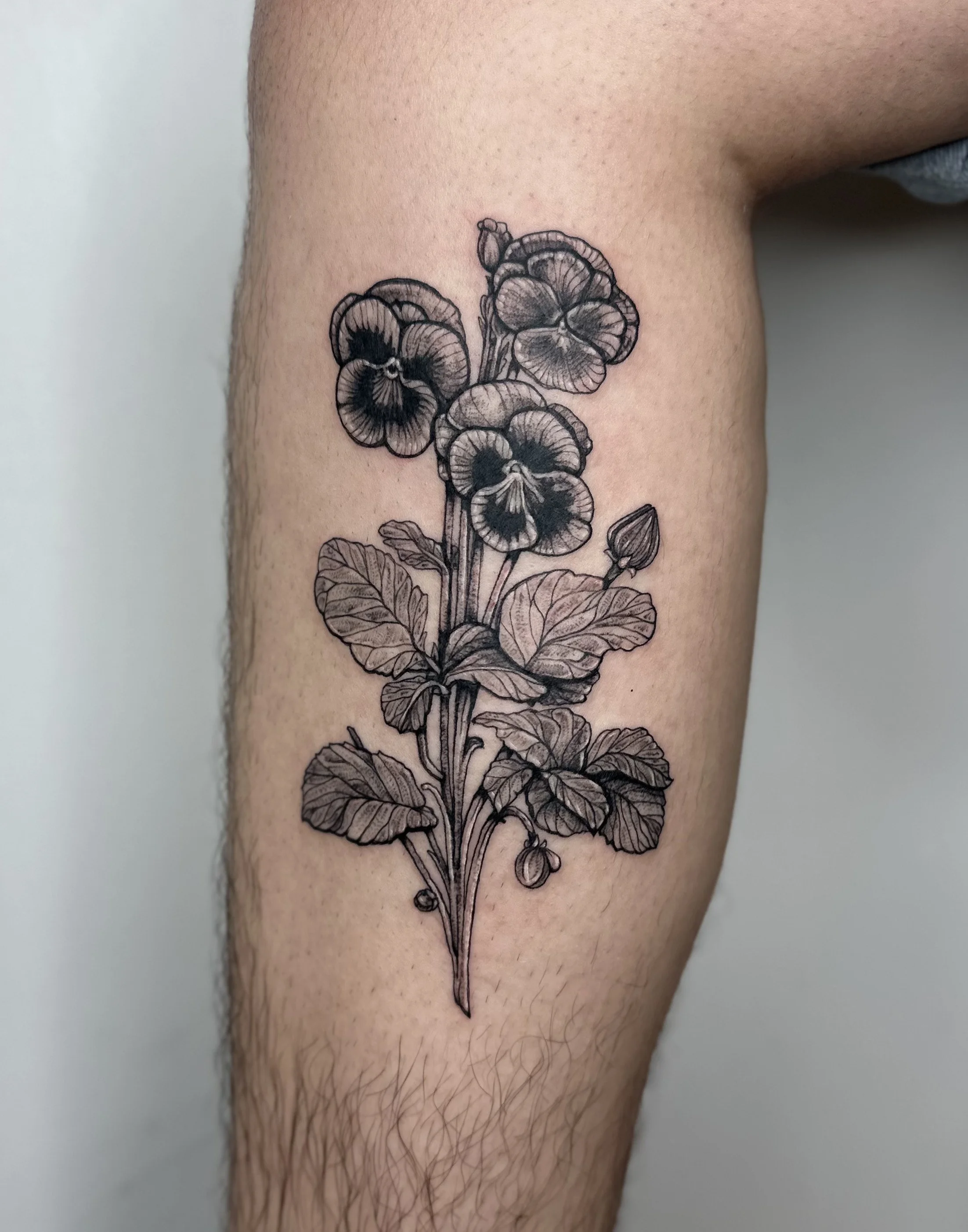 Black and gray floral tattoo of a potted pansy plant on person's upper thigh.