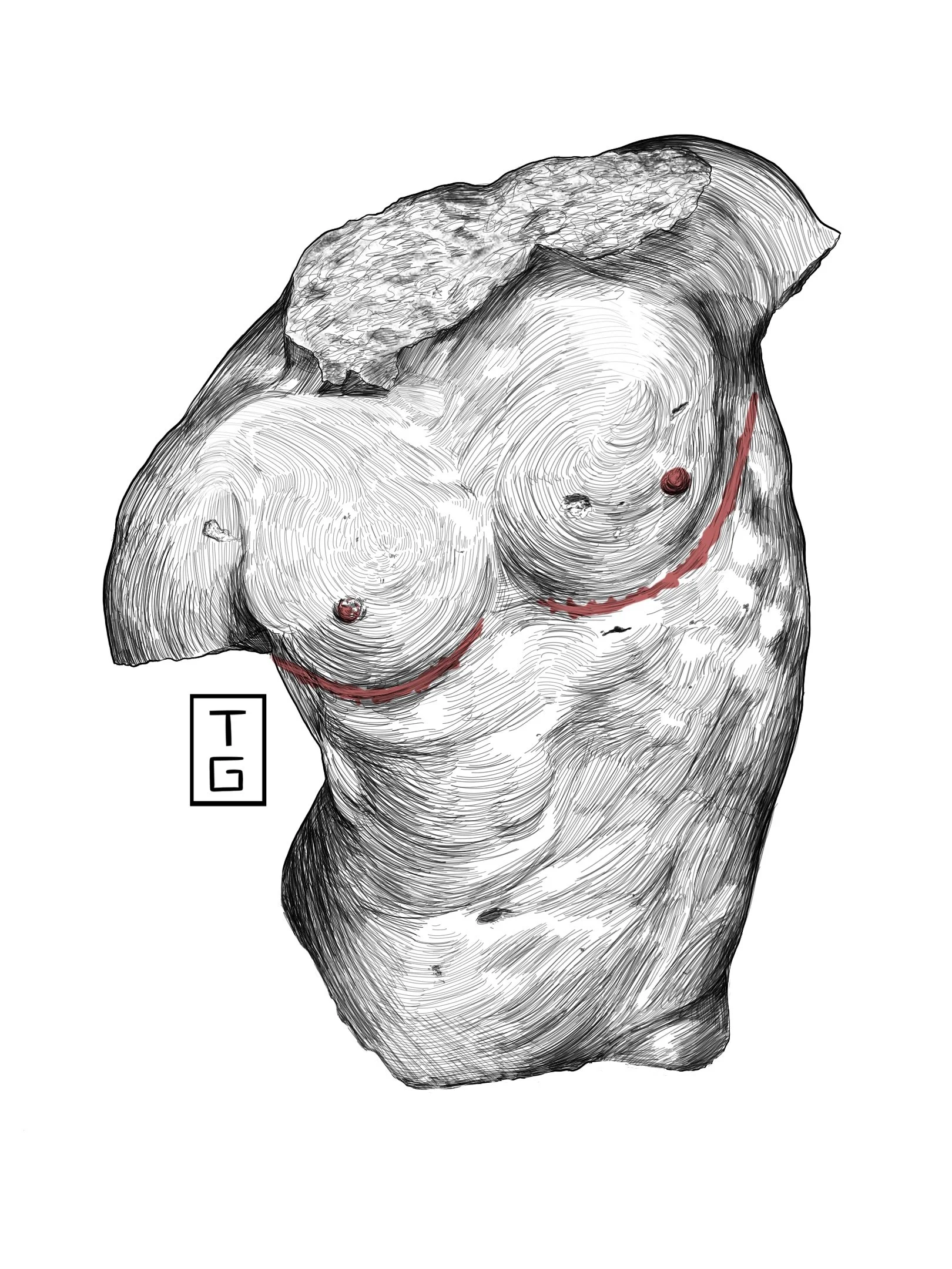 Transmasc Gaddi Torso