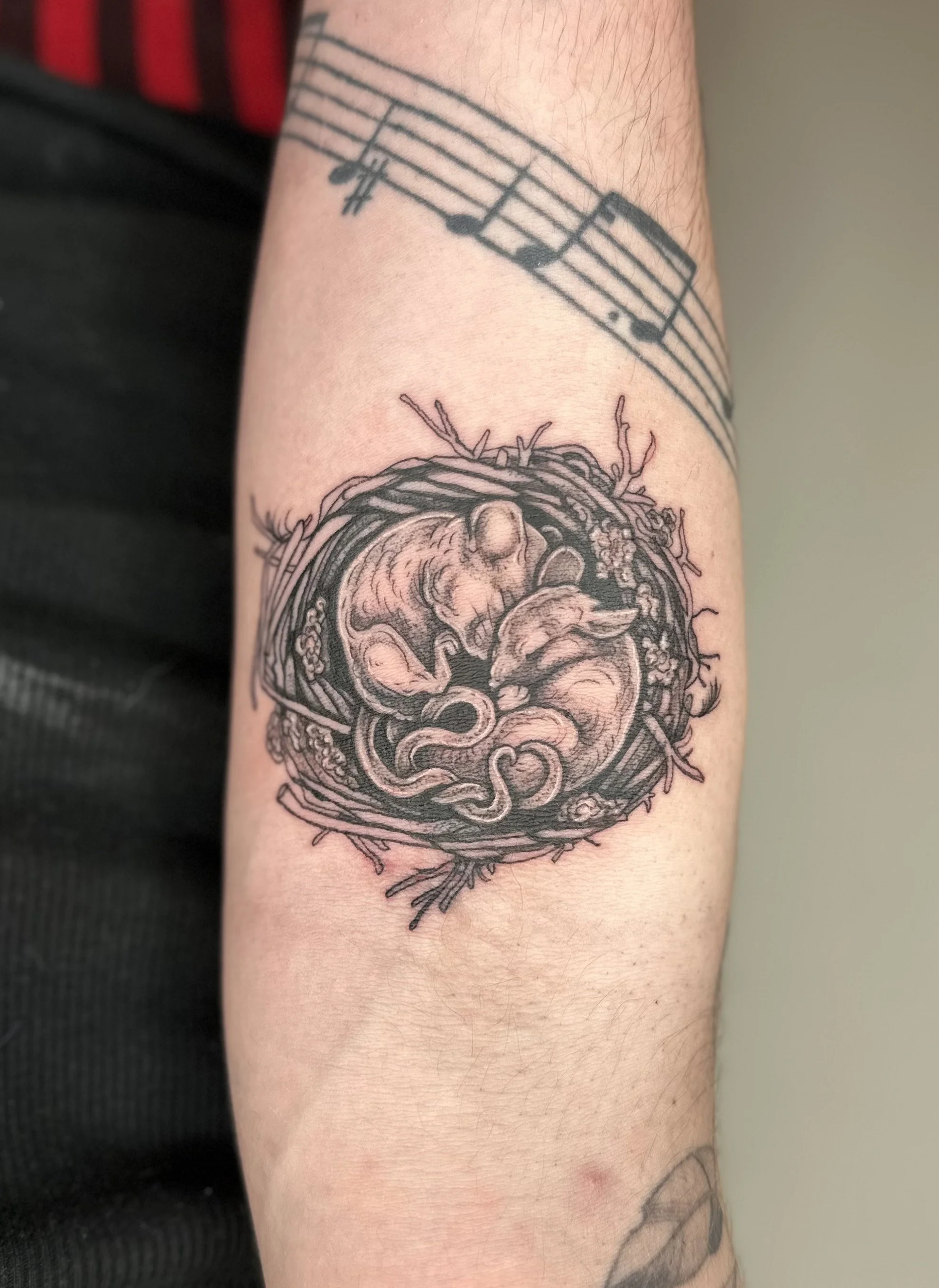 Tattoo of a nest with two mice on a person's arm, with a musical staff and notes above.