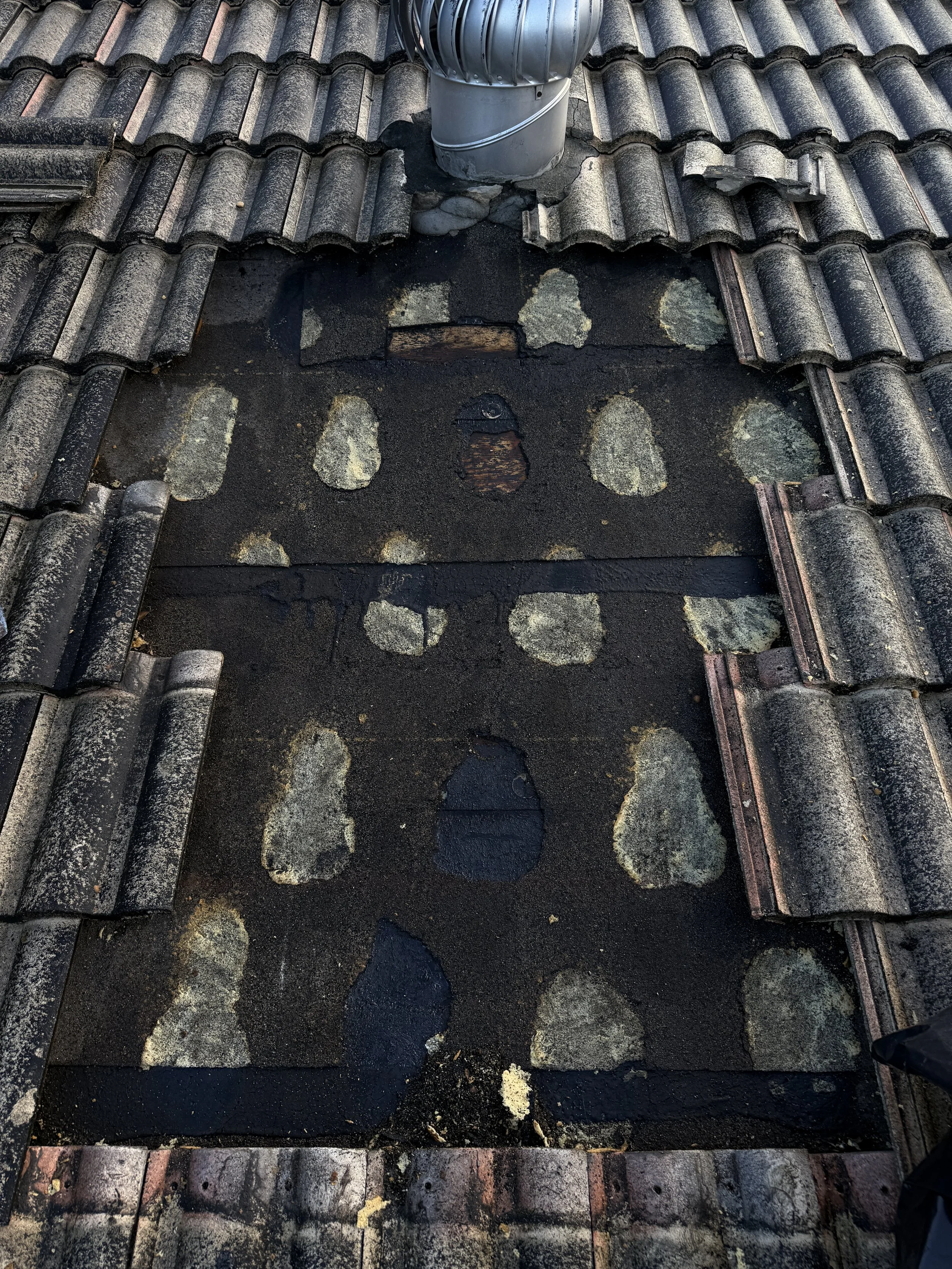 Maintenance Services